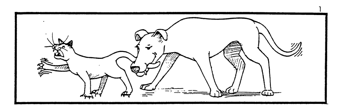 Pies jest gryziony prez kota.